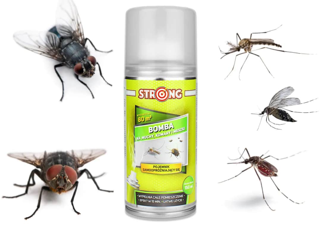 Jak pozbyć się much na tarasie: 8 skutecznych sposobów