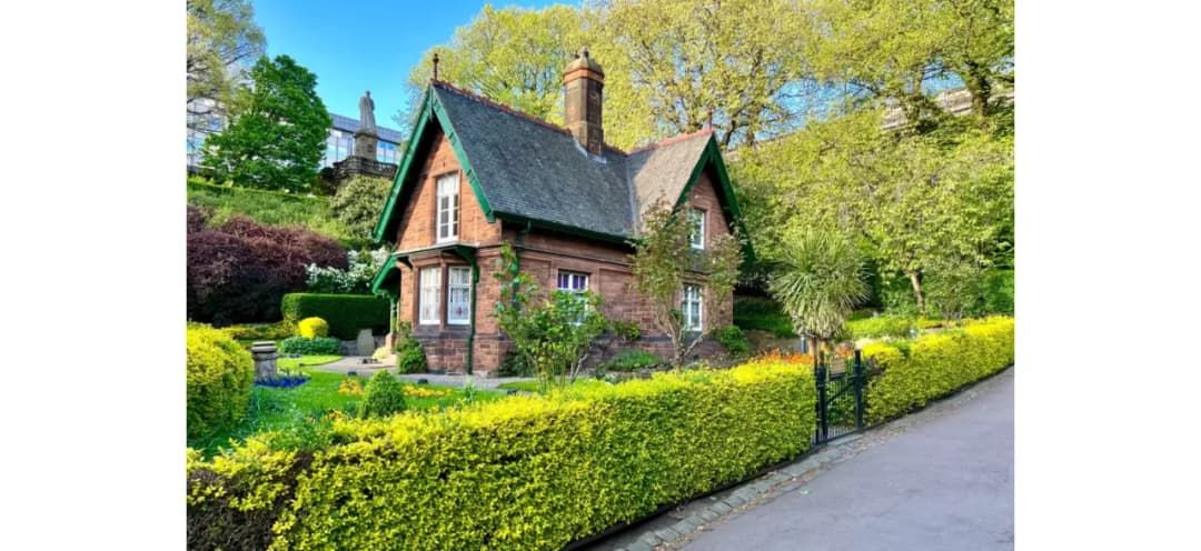 Idealne drzewka przy ogrodzeniu: jak wybrać, by cieszyć oko i chronić posesję