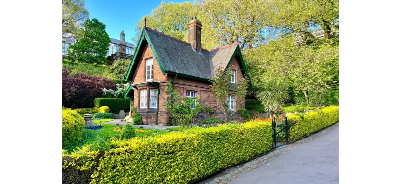 Idealne drzewka przy ogrodzeniu: jak wybrać, by cieszyć oko i chronić posesję