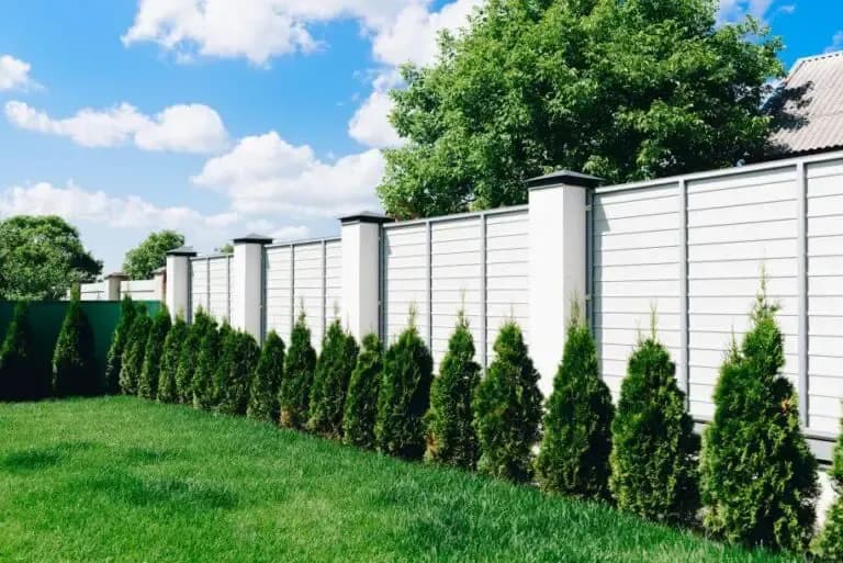Idealne rośliny przy ogrodzeniu z siatki. Sposób na piękny i zadbany płot