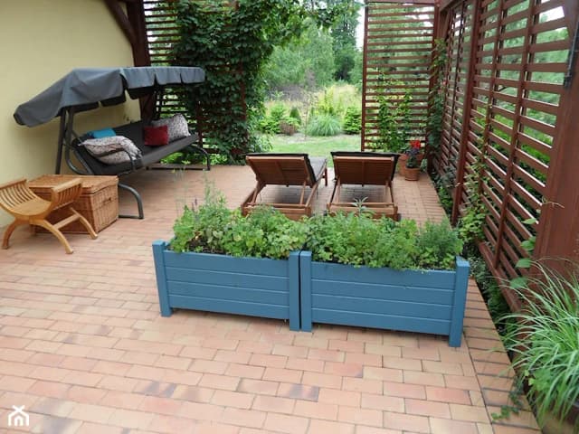 Bezpieczne mocowanie doniczek do parapetu. Sprawdzone sposoby, które nie zniszczą okna