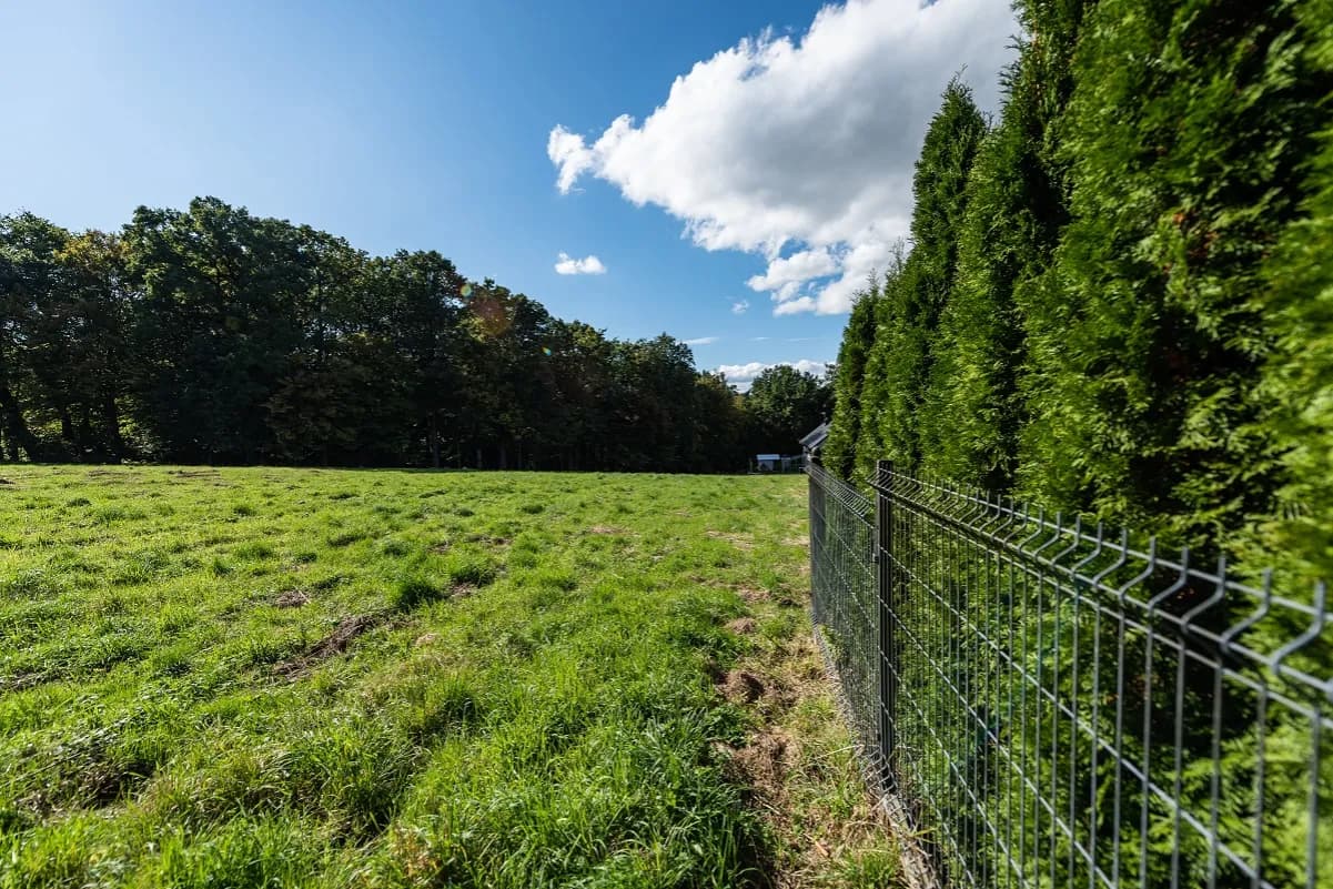 Ogrodzenie od granicy: Unikaj kar i sporów z sąsiadem krok po kroku