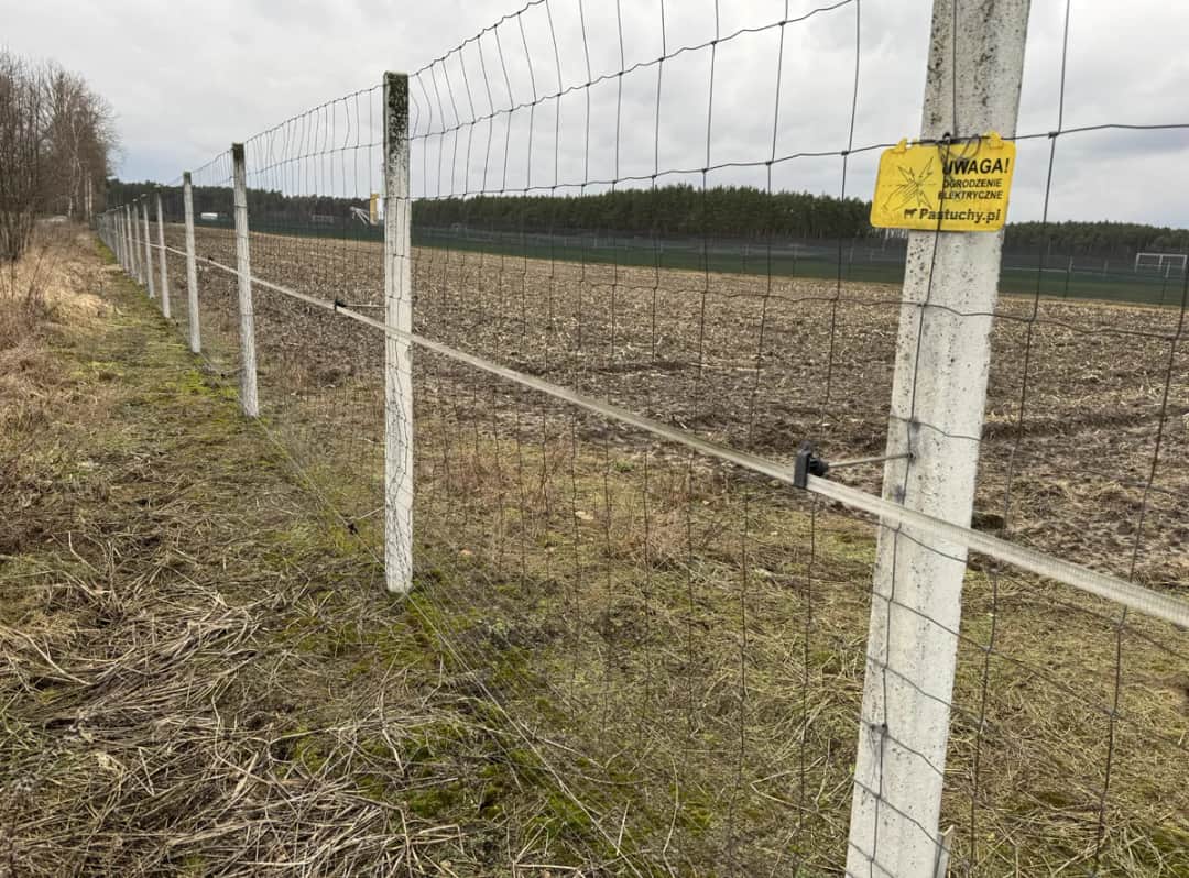 Ogrodzenie z siatki leśnej: Idealna odległość między słupkami
