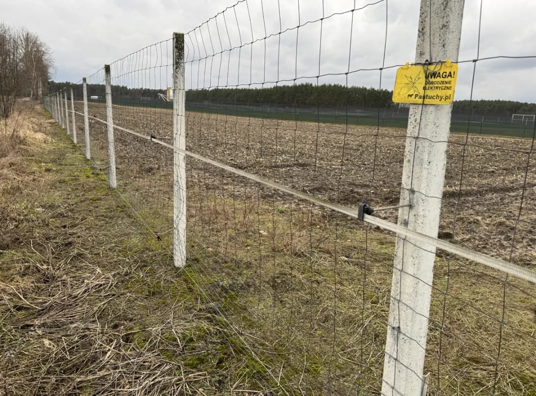Ogrodzenie z siatki leśnej: Idealna odległość między słupkami