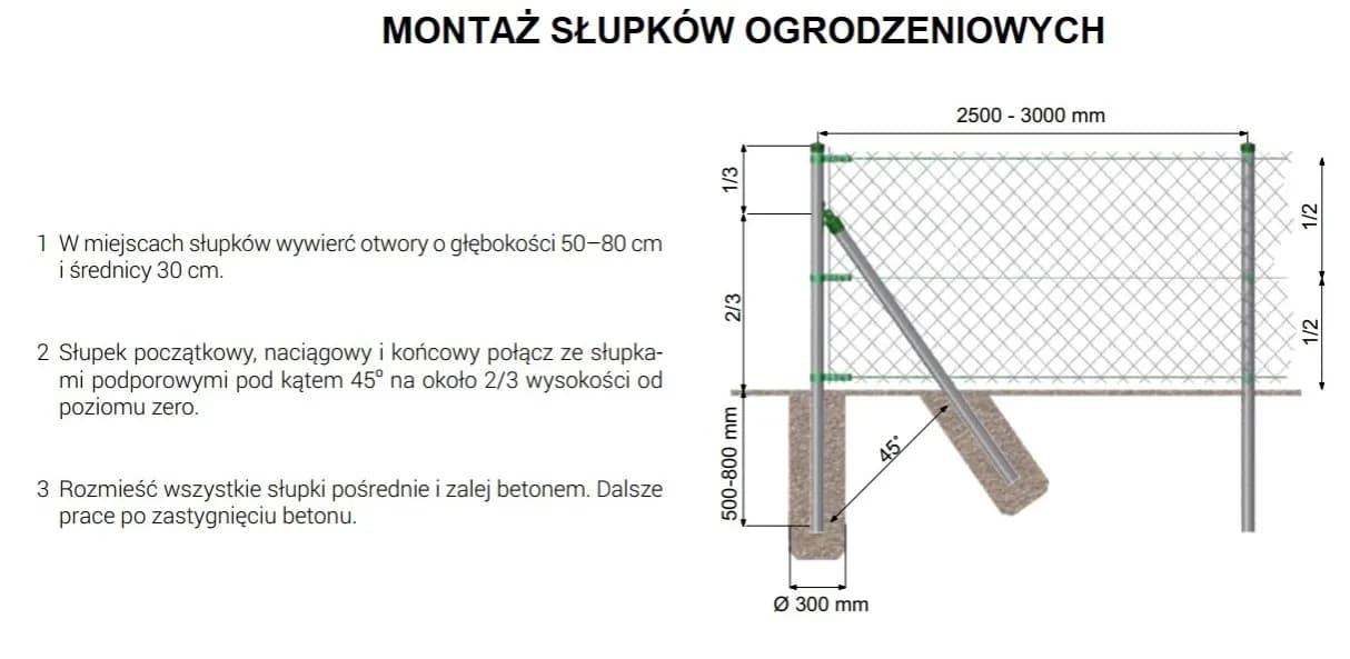 Ile kosztuje ogrodzenie z siatki? Sprawdź ceny i uniknij wpadek